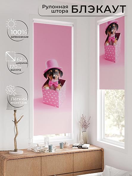 Рулонная штора для кухни для детской Федера - 660 - ширина 62 см