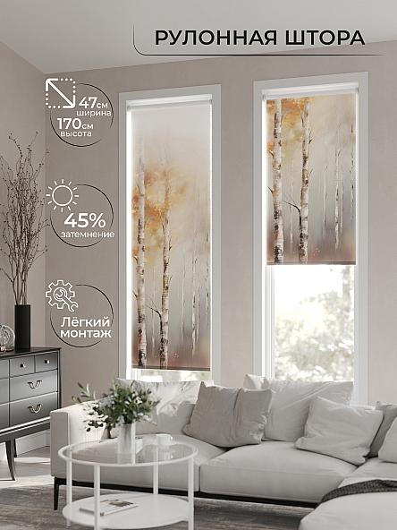 Рулонная штора Теринт - 60 - ширина 47 см