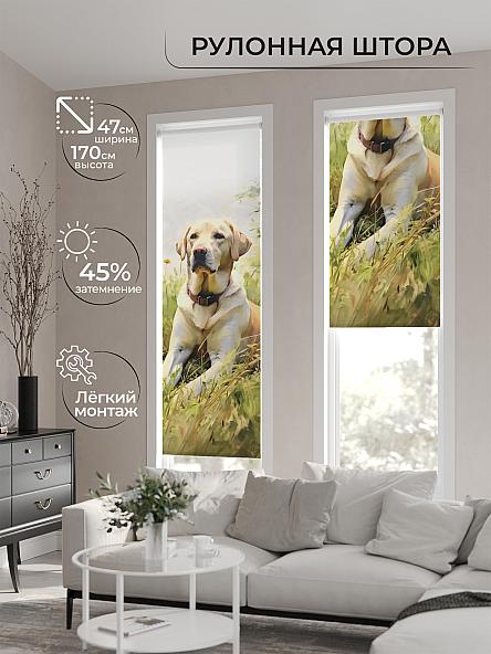 Рулонная штора Теринт - 154 - ширина 47 см