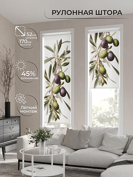 Рулонная штора для кухни для детской Феринт - 14 - ширина 52 см