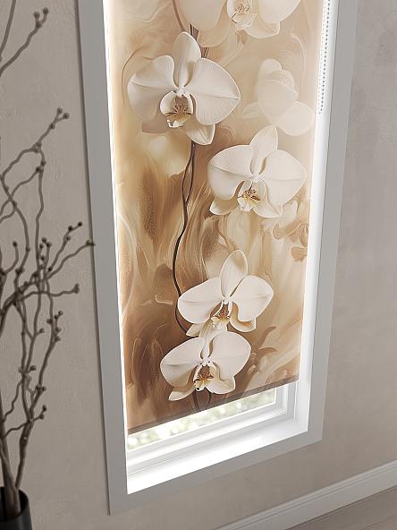 Рулонная штора для кухни для детской Феринт - 92 - ширина 52 см - фото 3