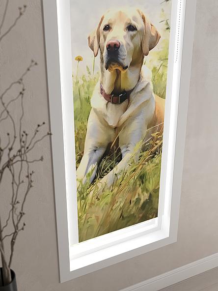 Рулонная штора для кухни для детской Феринт - 154 - ширина 52 см - фото 3