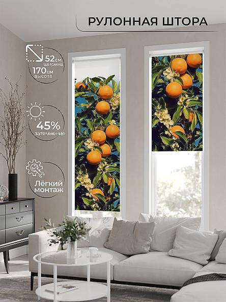 Рулонная штора для кухни для детской Феринт - 156 - ширина 52 см