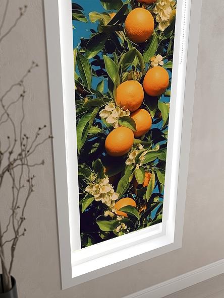 Рулонная штора для кухни для детской Феринт - 156 - ширина 52 см - фото 3