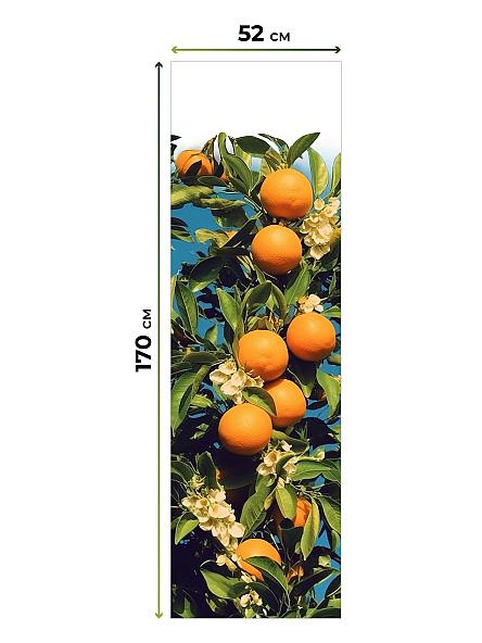 Рулонная штора для кухни для детской Феринт - 156 - ширина 52 см - фото 5