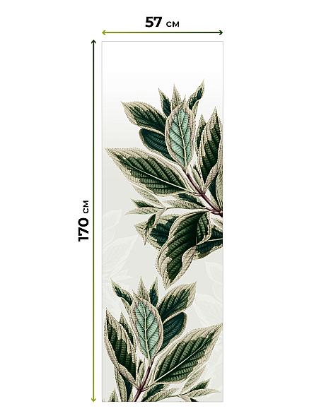 Рулонная штора для кухни для детской Флордо - 04 - ширина 57 см - фото 5