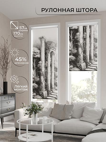 Рулонная штора для кухни для детской Флордо - 46 - ширина 57 см