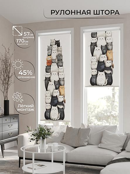 Рулонная штора для кухни для детской Флордо - 69 - ширина 57 см