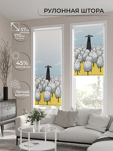 Рулонная штора для кухни для детской Флордо - 79 - ширина 57 см