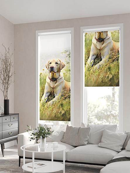 Рулонная штора для кухни для детской Флордо - 154 - ширина 57 см - фото 2