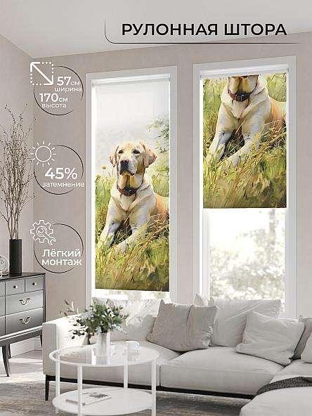 Рулонная штора для кухни для детской Флордо - 154 - ширина 57 см