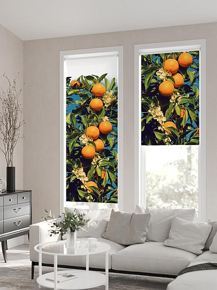 Рулонная штора для кухни для детской Флордо - 156 - ширина 57 см - фото 2