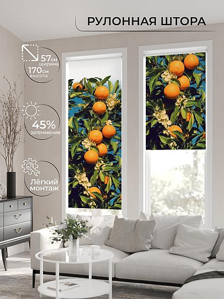 Рулонная штора для кухни для детской Флордо - 156 - ширина 57 см