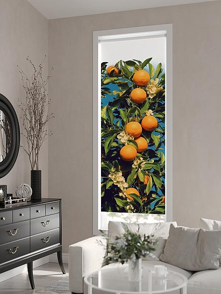 Рулонная штора для кухни для детской Флордо - 156 - ширина 57 см - фото 6