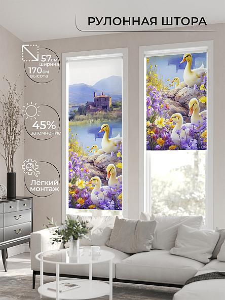 Рулонная штора для кухни для детской Флордо - 165 - ширина 57 см