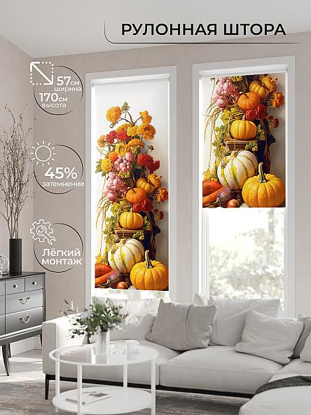 Рулонная штора для кухни для детской Флордо - 173 - ширина 57 см