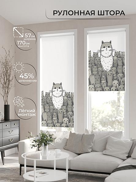 Рулонная штора для кухни для детской Флордо - 182 - ширина 57 см