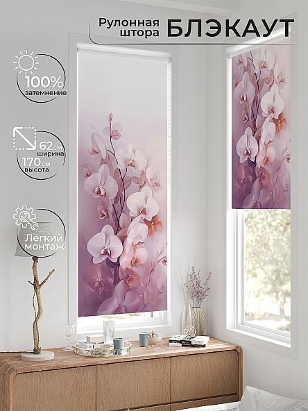 Рулонная штора для кухни для детской Фиреда - 553 - ширина 62 см