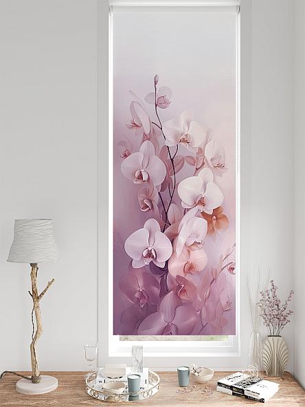 Рулонная штора для кухни для детской Фиреда - 553 - ширина 62 см - фото 3