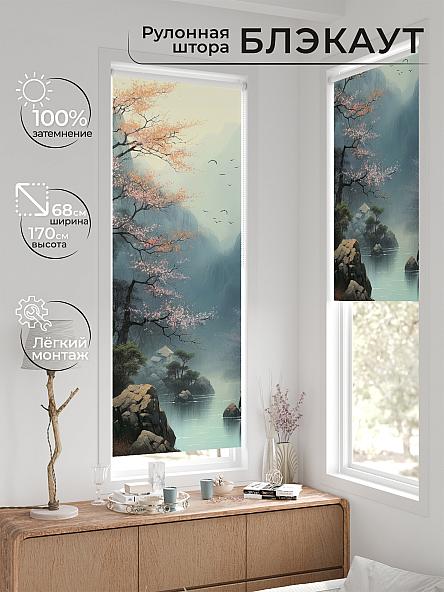 Рулонная штора для кухни для детской Легроса - 563 - ширина 68 см