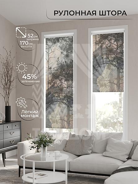 Рулонная штора для кухни для детской Лимкис - 569 - ширина 52 см