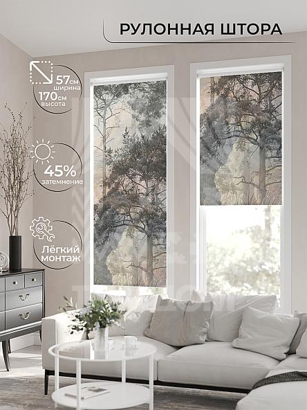 Рулонная штора для кухни для детской Ронлирт - 569 - ширина 57 см