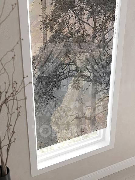 Рулонная штора для кухни для детской Ронлирт - 569 - ширина 57 см - фото 3