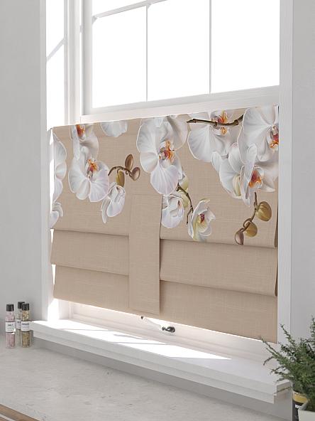 Римская штора для кухни Форти - 52 - фото 4