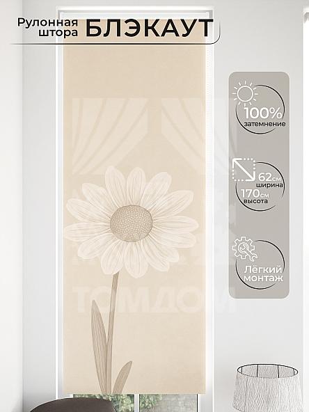 Рулонная штора для кухни для детской Малинет - 05 - ширина 62 см