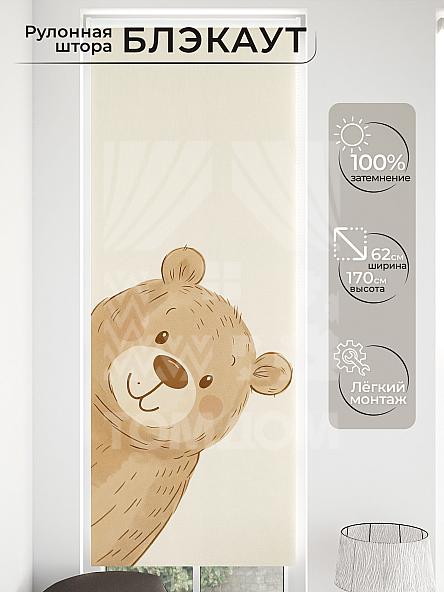 Рулонная штора для кухни для детской Малинет - 18 - ширина 62 см