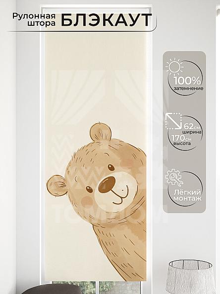 Рулонная штора для кухни для детской Малинет - 19 - ширина 62 см