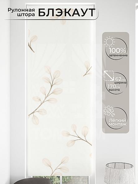 Рулонная штора для кухни для детской Малинет - 64 - ширина 62 см