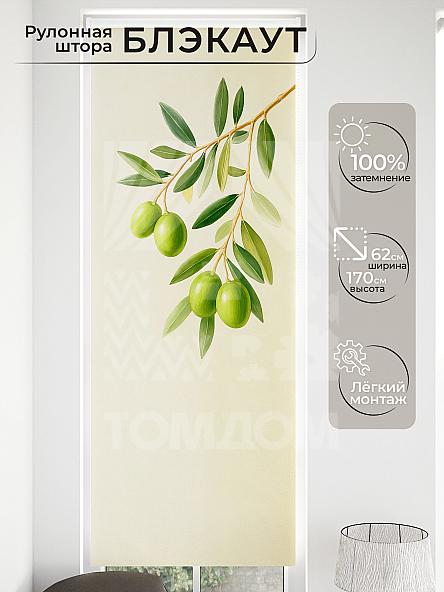 Рулонная штора для кухни для детской Малинет - 79 - ширина 62 см