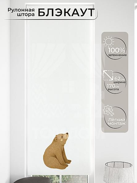 Рулонная штора для кухни для детской Малинет - 82 - ширина 62 см