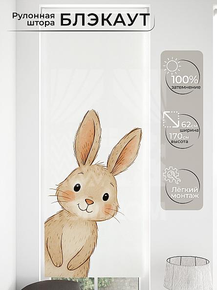 Рулонная штора для кухни для детской Малинет - 83 - ширина 62 см