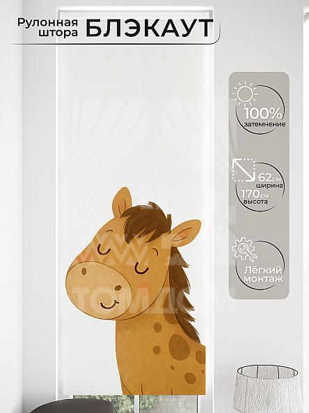 Рулонная штора для кухни для детской Малинет - 88 - ширина 62 см