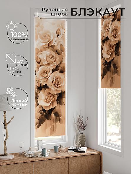 Рулонная штора для кухни для детской Анзара - 573 - 47см