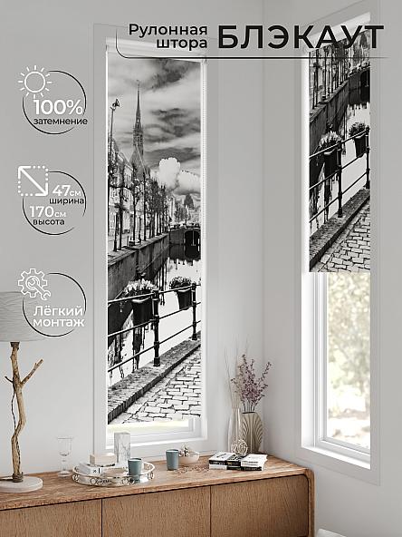 Рулонная штора для кухни для детской Анзара - 633 - 47см