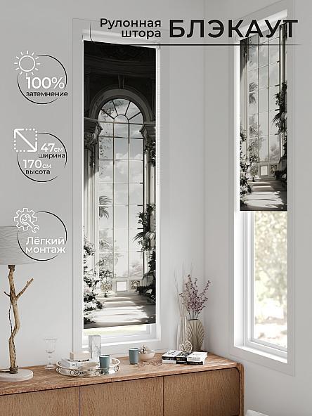 Рулонная штора для кухни для детской Анзара - 637 - 47см