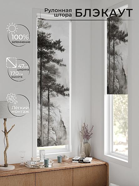 Рулонная штора для кухни для детской Анзара - 639 - 47см