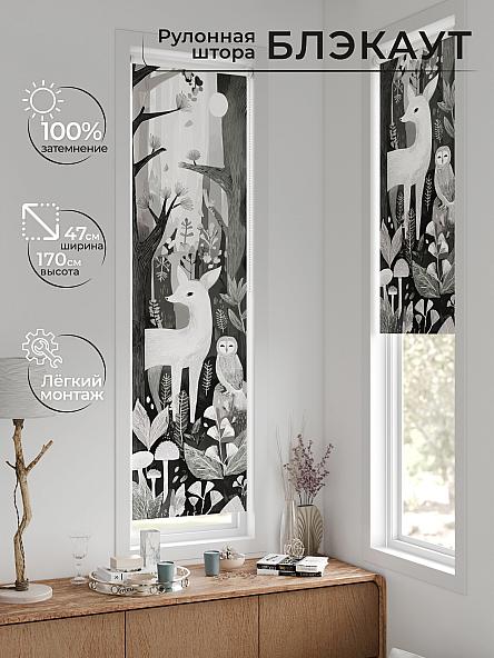 Рулонная штора для кухни для детской Анзара - 645 - 47см