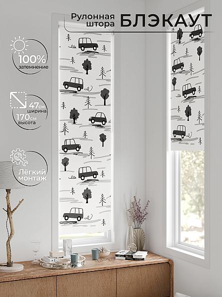 Рулонная штора для кухни для детской Анзара - 647 - 47см