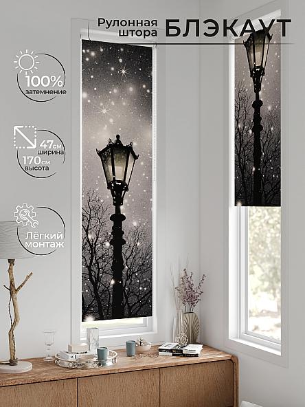 Рулонная штора для кухни для детской Анзара - 655 - 47см