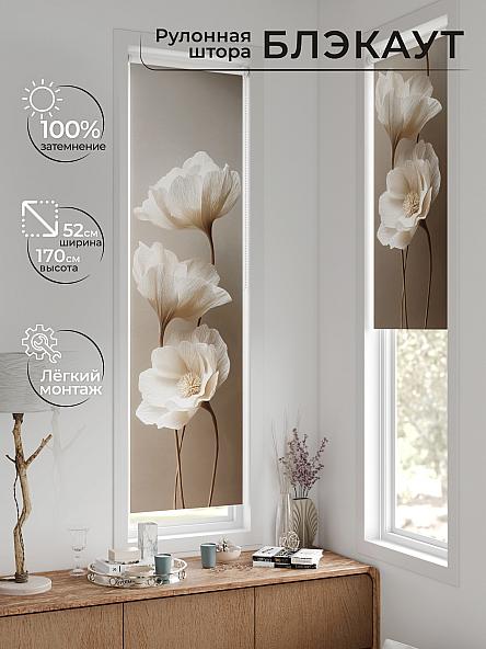 Рулонная штора для кухни для детской Ланетрикс - 581 - 52 см