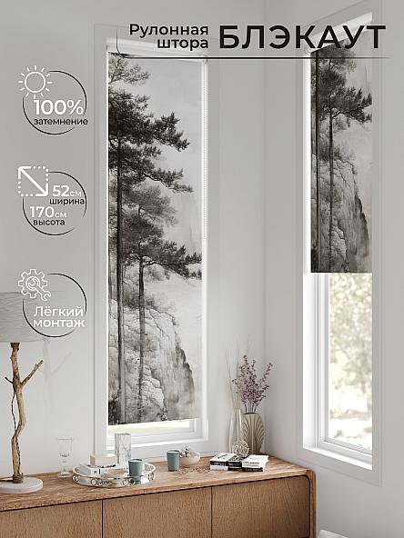 Рулонная штора для кухни для детской Ланетрикс - 639 - 52 см