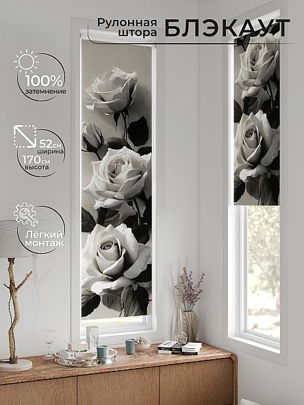 Рулонная штора для кухни для детской Ланетрикс - 644 - 52 см