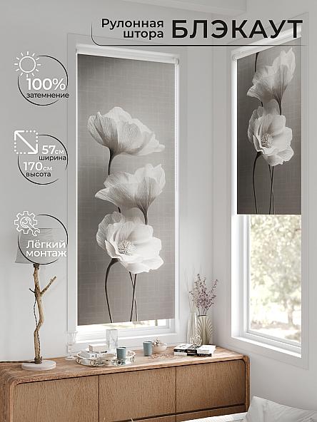 Рулонная штора для кухни для детской Лирстик - 636 - 57 см