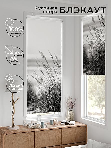 Рулонная штора для кухни для детской Лирстик - 641 - 57 см