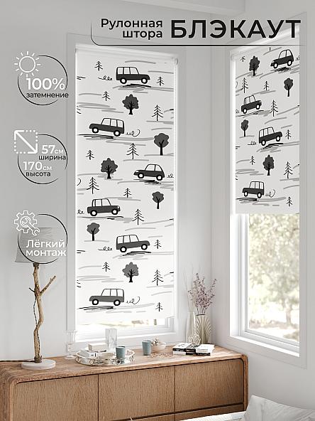 Рулонная штора для кухни для детской Лирстик - 647 - 57 см