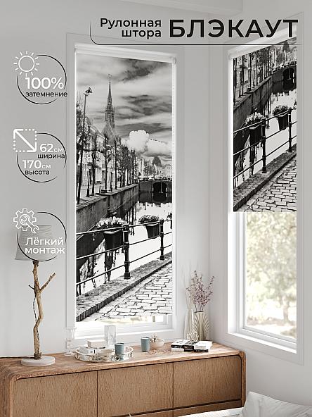 Рулонная штора для кухни для детской Лертонт - 633 - 62 см